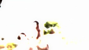 2 Hot Chicks 1 Black Dick - MYLF