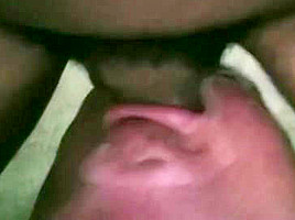 8 Tongan Cock