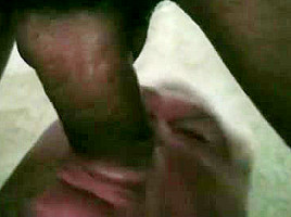 8 Tongan Cock