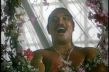 Aladin XXX