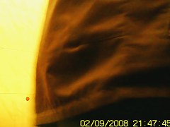 Amateur flashed bushy pussy while pissing on toilet
