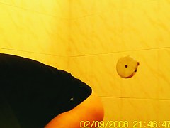 Amateur flashed bushy pussy while pissing on toilet