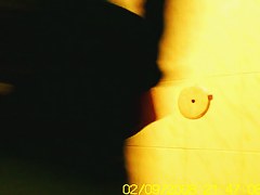 Amateur flashed bushy pussy while pissing on toilet
