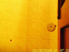 Amateur flashed bushy pussy while pissing on toilet