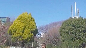 Amazing Japanese chick Harumi Asano in Fabulous POV JAV scene