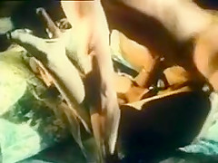 Arcadia Lake & Eric Edwards - Robin's Nest (1980)