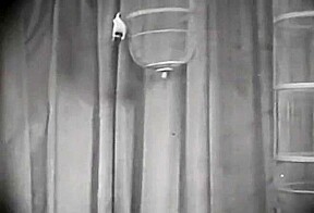 Artist's Studio Secrets (1964)