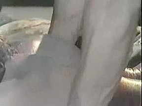 Ashlyn Gere has great Sex at night