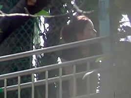 Asian Public Urinating