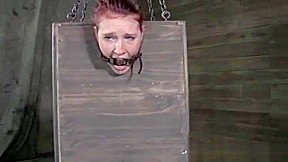 BDSM submissive has both holes toyed