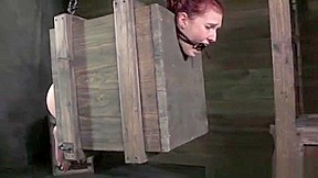 BDSM submissive has both holes toyed