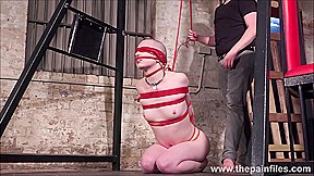 Bald submissive Erynn Rose suspension bondage and tied up whipping