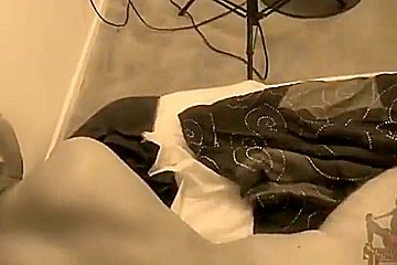 Best Adult Movie Transvestite Shemale Fucks Guy Ever Seen - Sasha Strokes