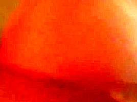 Big Round White Ass Bouncing On My Dick