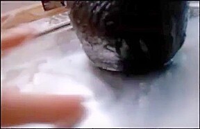 Black stockings fucks her toy