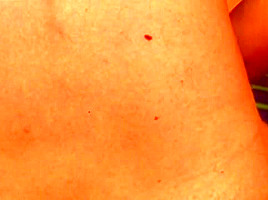 Bulgarian sex varna