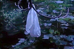 Carolyn Houlihan Naked In The Burning