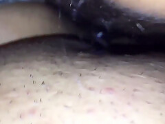 Chupando Vagina Gorda