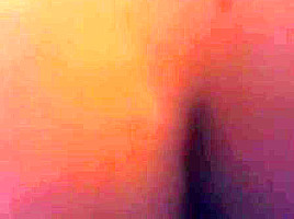 Cock Tails