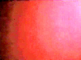 Comfort Video Camfrog