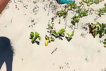 Cum In The Ass Of A Stranger On The Beach