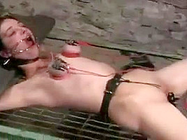 Electro torture 2