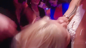 Euro amateur cocksucking creme off dick
