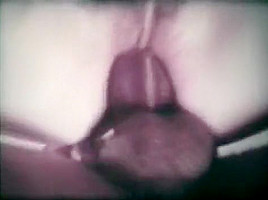 Fabulous Couple, Hairy sex video