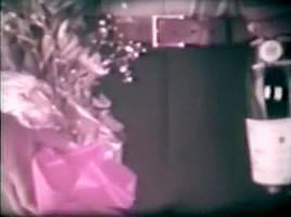 Fabulous Couple, Hairy sex video
