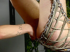 Filled With Toys And Cock - Aiden Jason And Reece Bentley