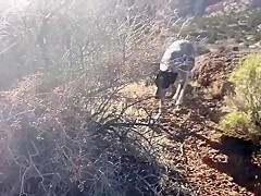 First Creek Second Day Fucking And Sucki With Sparks Go Wild