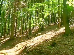 Forest Fun
