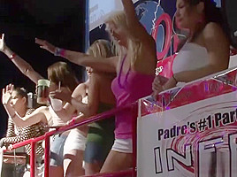 Foxy Fillies Show Off Their Round Tits