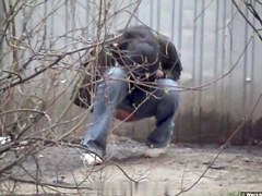 Girls Pissing video 20
