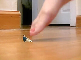 Goddess July Giantess