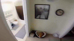Home Movie Of Nicole Aniston Getting Fucked In The Shower