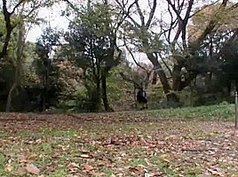 Horny Japanese model in Incredible Amateur, teens 18+ JAV video