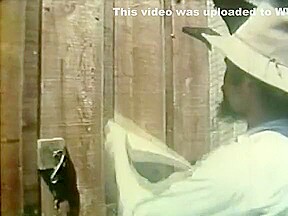 Incredible Vintage sex video