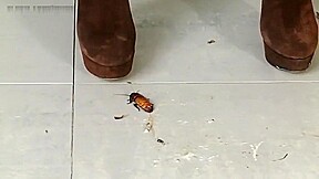 Jocelyn crushes roaches in her sexy boots!