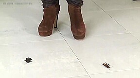 Jocelyn crushes roaches in her sexy boots!