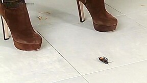 Jocelyn crushes roaches in her sexy boots!