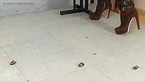 Jocelyn crushes roaches in her sexy boots!