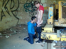 Kameron Frost And Miguel Bryan - Jalifstudio - Carnalplus