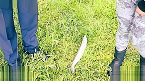Katia Volpe (ex Margherita Fuxia) masturbates herself with a big fish for Andrea Dipre