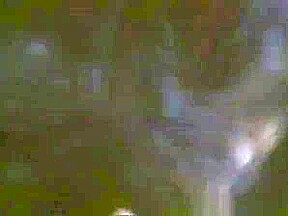 Old Time Hardcore Pornstar Sex