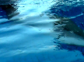 Private Pool Party