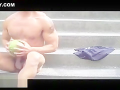 Public melon