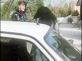 Pussycat 09