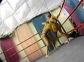 Ring Catfight 15