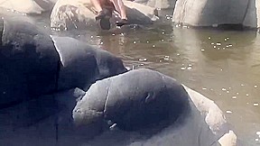 Risky Public Nude Swim Handjob And Fuck